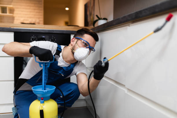 Trusted Belmont Estates, VA Pest Control Experts